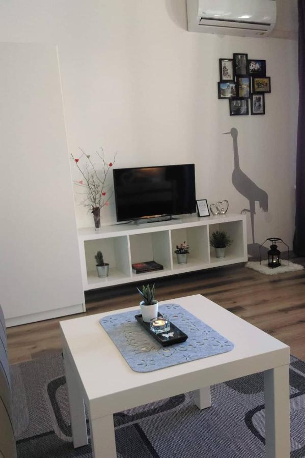 Studio Apartman Zdral Appartement Daruvar Buitenkant foto